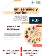 Quorum Sensing y Bioflim, Equipo 5.