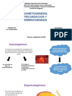 Gametogenesis, Fecundacion y Embriogenesis 1