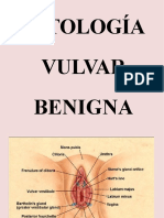 Patologias de La Vulva