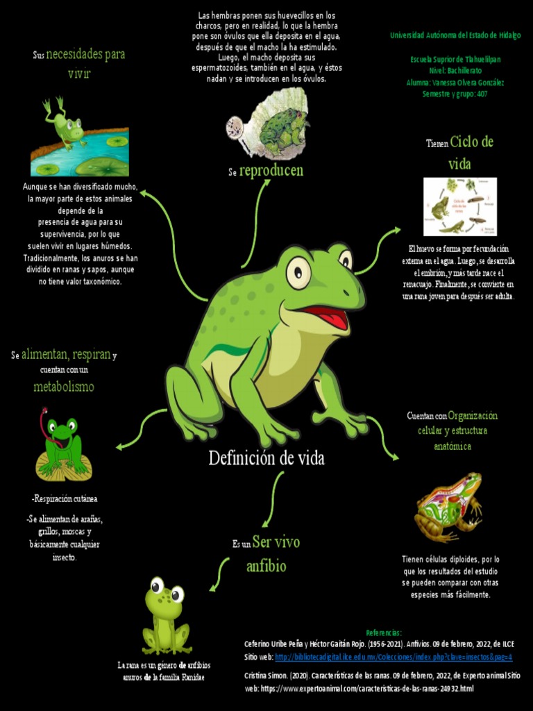 Diagrama educativo del ciclo de vida: vector de stock (libre de regalías)  2321003843 | Shutterstock, image size:768x1024