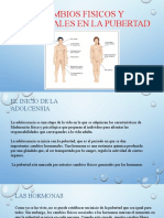 Cambios Fisicos y Hormonales en La Pubertad