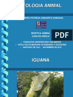 Etología Iguana