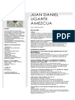 Curriculum Juan Daniel Ugarte Actual