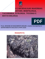 Rhodophyta Bacharelado2023