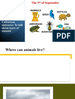 Animal Types