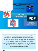 Sistema Cardiovascular