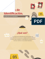 Sistemas de Identificación de Personas