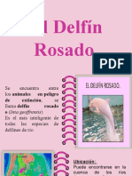 El Delfín Rosado