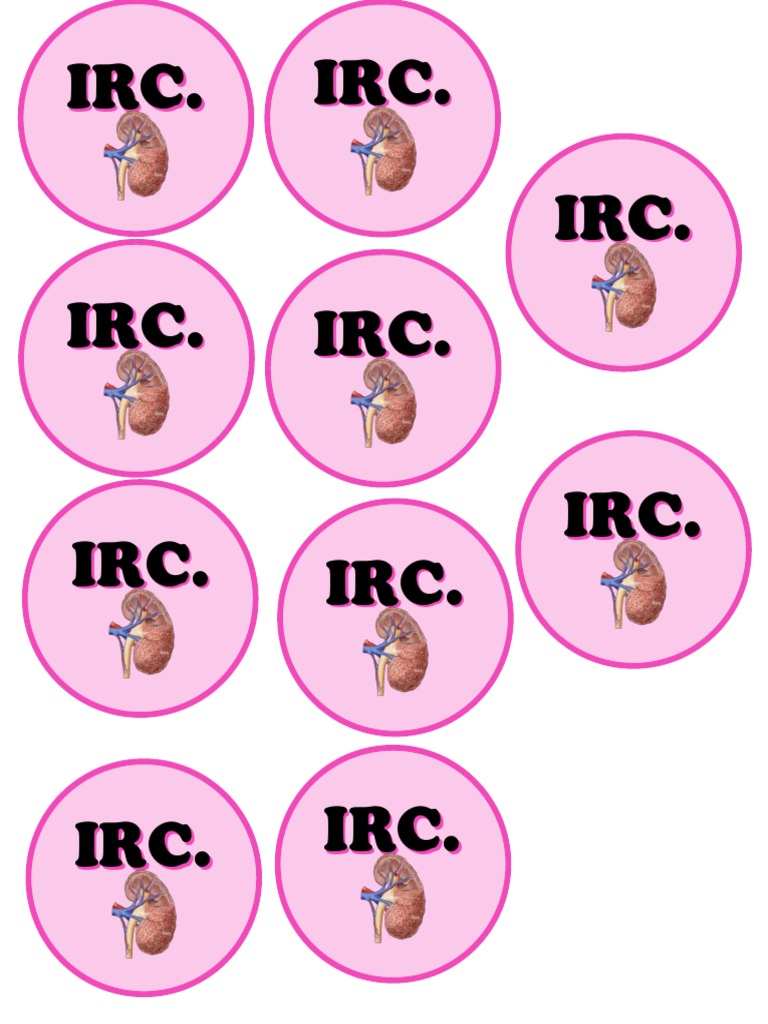 Irc R504 Pdf: Ansi R502.2 Pdf : Chapter 5 Floors: 2020 FBC – XKGJCK