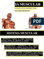 04 - Sistema Muscular