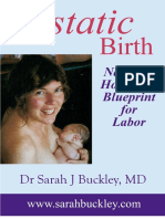 Ecstatic Birth Ebook W