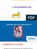 Atención Pre Natal Reenfocada Ii..