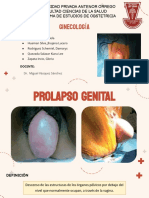 Prolapso Genital-Semana 12