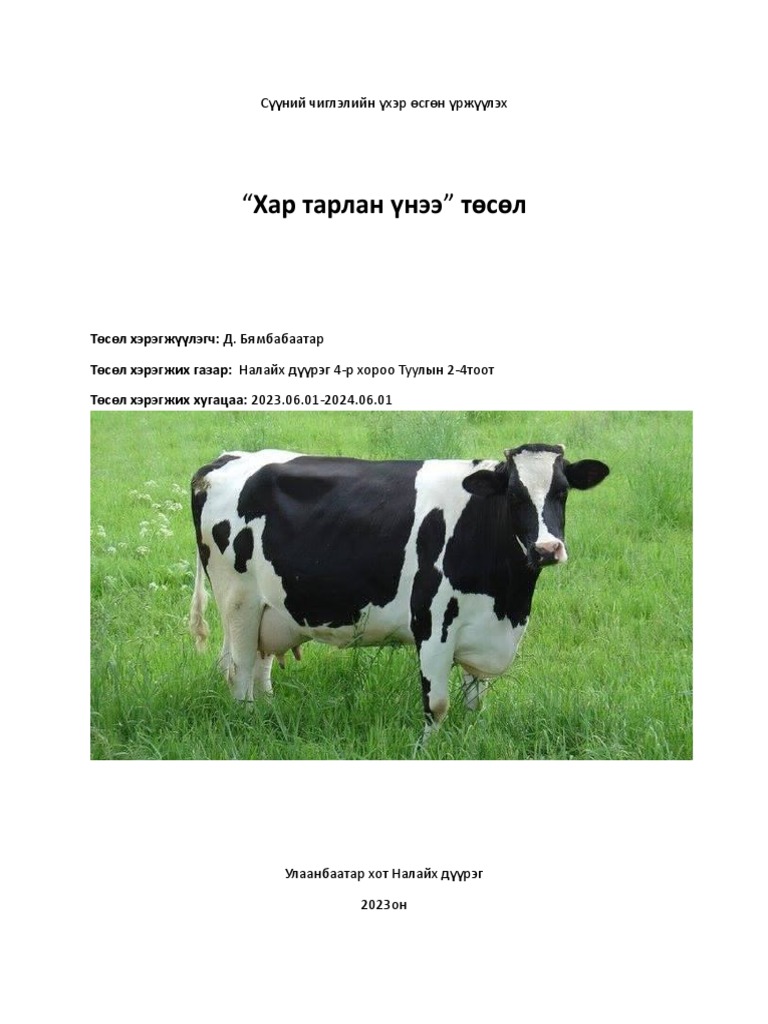 Сүүний Чиглэлийн Үхэр Өсгөн Үржүүлэх | PDF