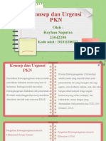 Konsep Dan Urgensi PKN: Oleh: Rayhan Saputra 23042200