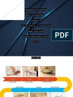 PDF Actividad 3.1.2