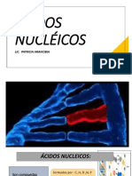 Ácidos Nucleicos