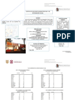 Informe Torito