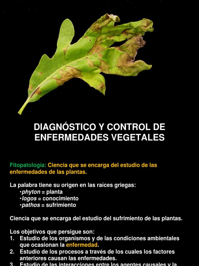 Fitopatologia 2 PDF Plantas Patologia de planta