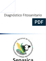 01 Diagnóstico Fitosanitario