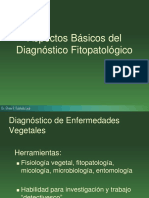 Aspectos Basicos de DX Fitopatologico