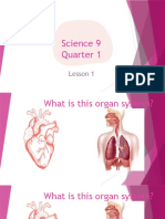 Lesson 1 - Respiratory and Circulatory System