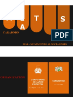 Metas Organizacion Comandos Circuitales Zonales Equipos Centros de Votacion