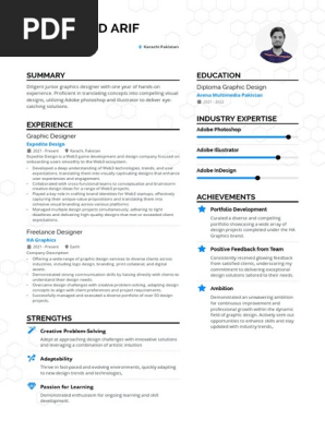 Professional CV
