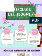 Músuculos Del Abdomen