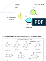 6. Нуклеинови киселини