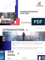 Business Roadmap - CalypteHolding