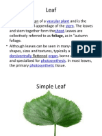 Leaf