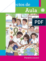 Proyectos de Aula Primer Grado