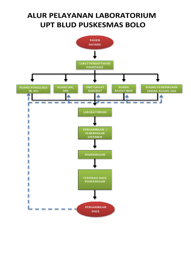 Alur Pelayanan Lab Pdf