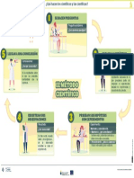 Qué Hacen Los Científicos y Las Científicas