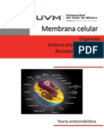 Unidad 2b Organelos y Trasporte Endomembranal