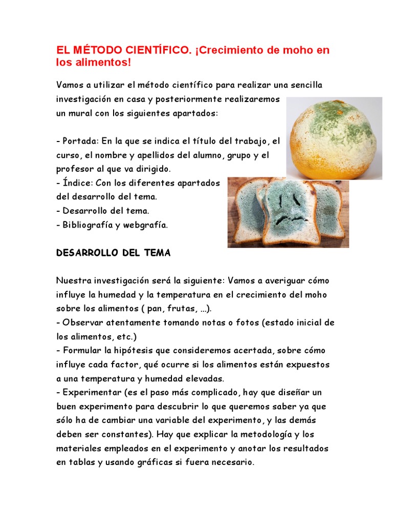 Actividad Moho | PDF
