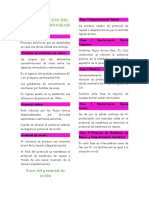 INTERPRETACIÓN DEL ELECTROCARDIOGRAMA Apuntes