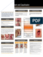 Tongue Tie - Classification - Poster - 2014 Premier Health