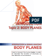 Topic 1 - Body Planes