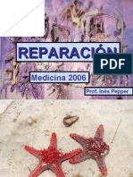 Reparacion Obst 2007