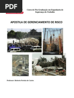 Apostila de Gerenciamento de Risco
