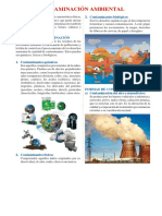 Contaminación Ambiental PDF