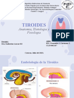 Anatomia de La Tiroides