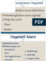 Perkembangbiakan Vegetatif Tumbuhan