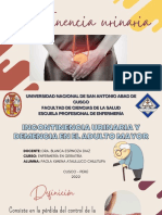 Incontinencia Urinaria y Demencia en El Adulto Mayor-Diapositivas