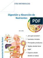 01 Digestion y Absorcion de Nutrientes