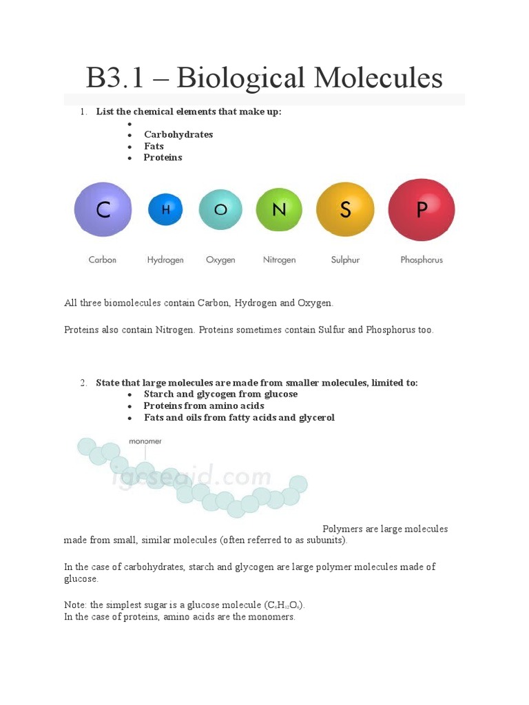 B3 Biological Molecules PDF Biomolecules Glucose