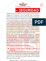 Propuesta Seguridad Reinoso 2011