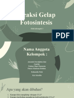 Reaksi Gelap Fotosintesis